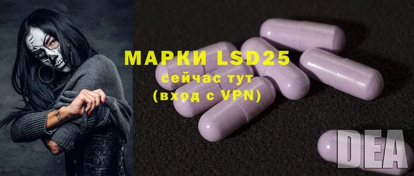 PSILOCYBIN Абаза