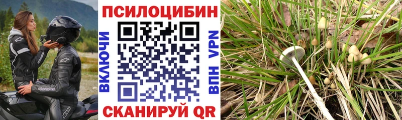 Галлюциногенные грибы прущие грибы  Нерехта 